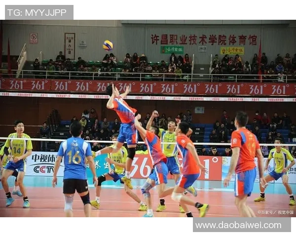 排球专题分析：深入探讨西安排球队的战术配合与团队协作技巧